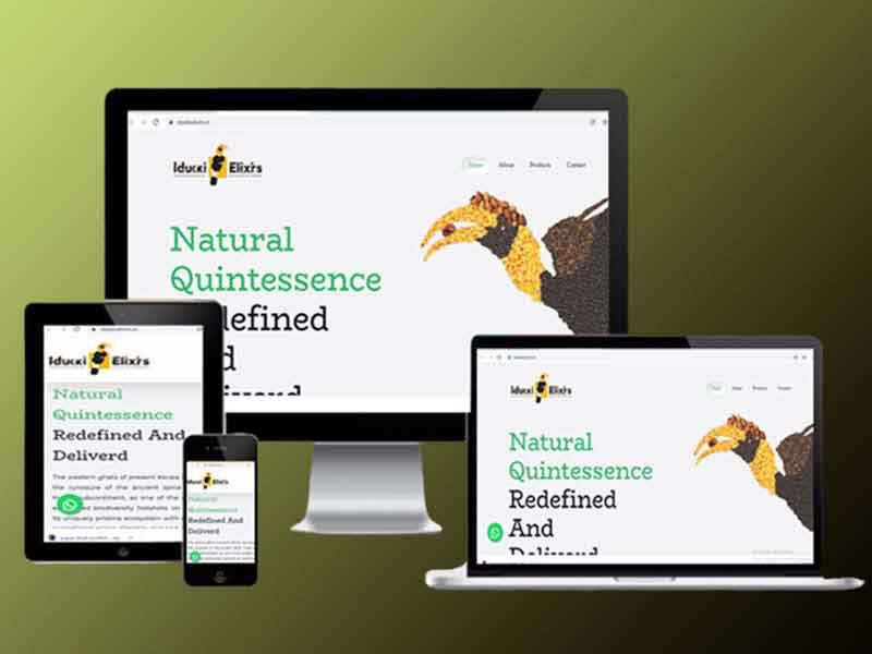 prosmena Website