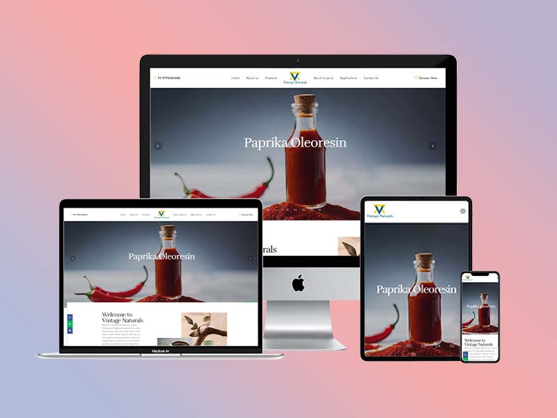 prosmena Website
